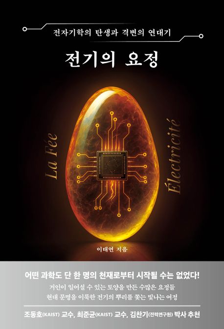 전기의 요정